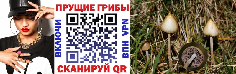 Галлюциногенные грибы прущие грибы  купить закладку  Ужур 