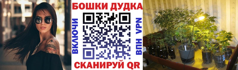 Каннабис конопля  kraken   Ужур 